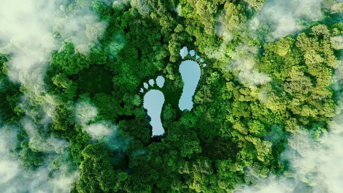 Sustainable Barefoot Footwear: What to Look For - MyMara