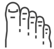 Ideal for regular and wide foot shapes
