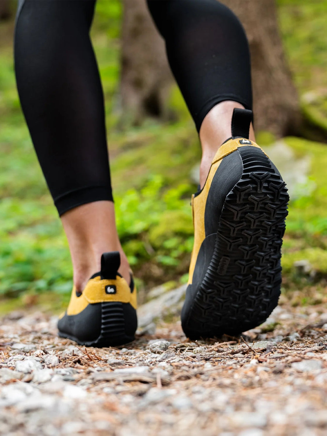Shoes Trailwalker 3.0 - Trail Running & Hiking - MyMara