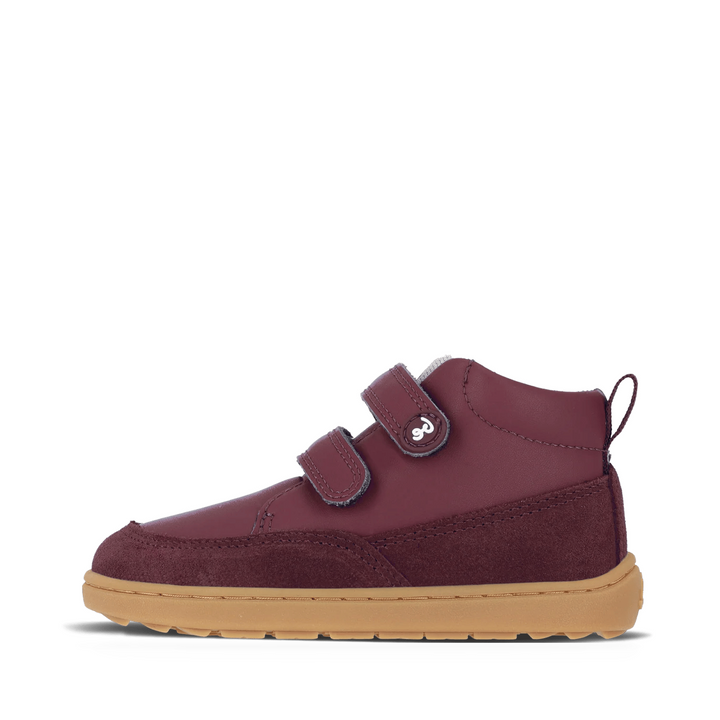 shopify-6120098e1be85be1546602d6-45f303c7fb378ac6