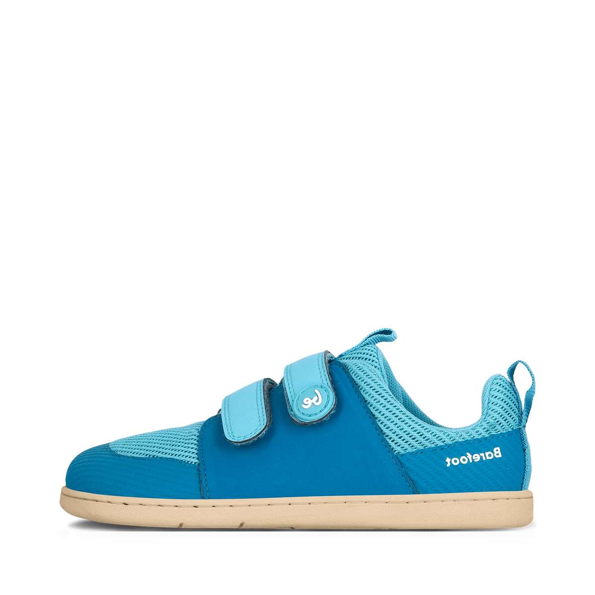 shopify-feb2d5ffa1f19c5f98e84f0e-f0cba8f1354eaa89